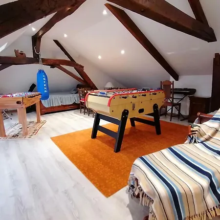 Gite Avec Grand Jardin, Salle De Jeux, Et Activites Nautiques, Entre Rennes Et Angers - Fr-1-600-34 Congrier